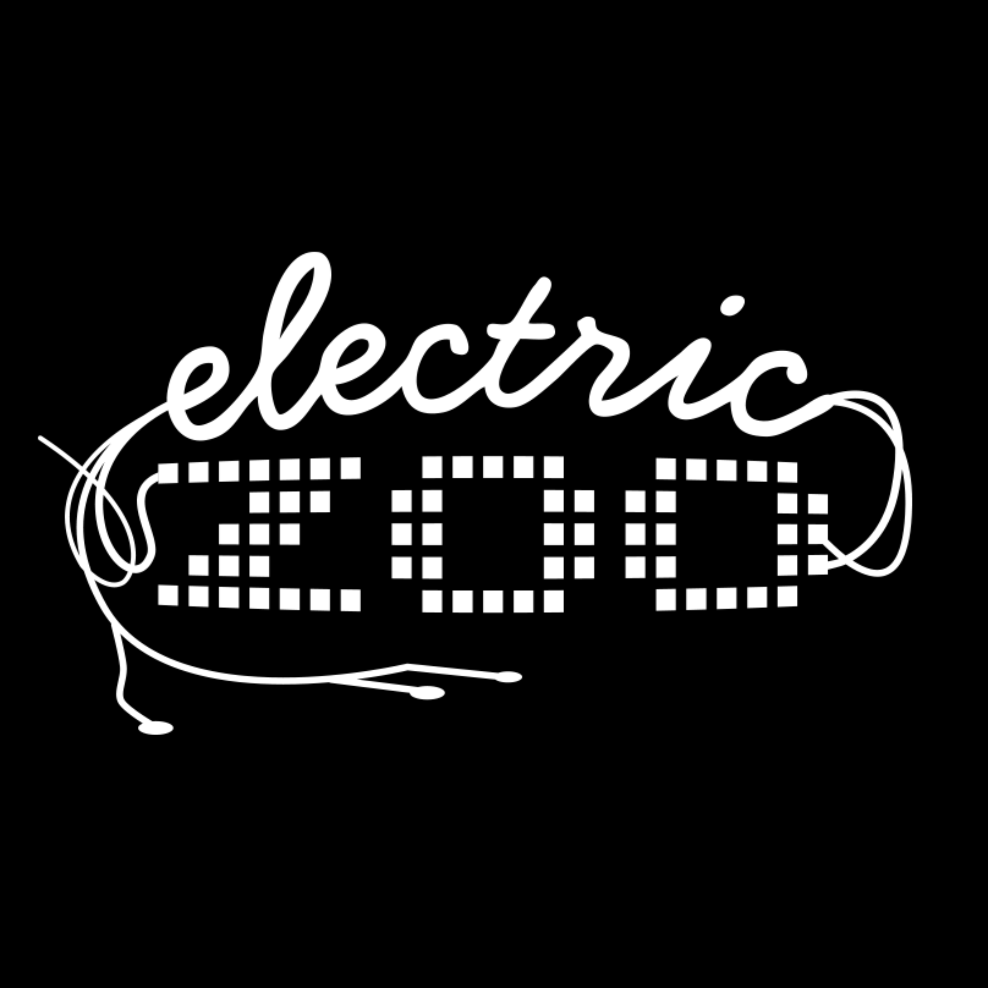 Electric Zoo logo
